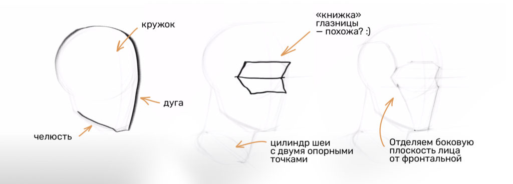 Основы портрета 1