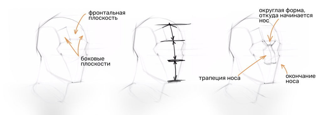 Основы портрета 2