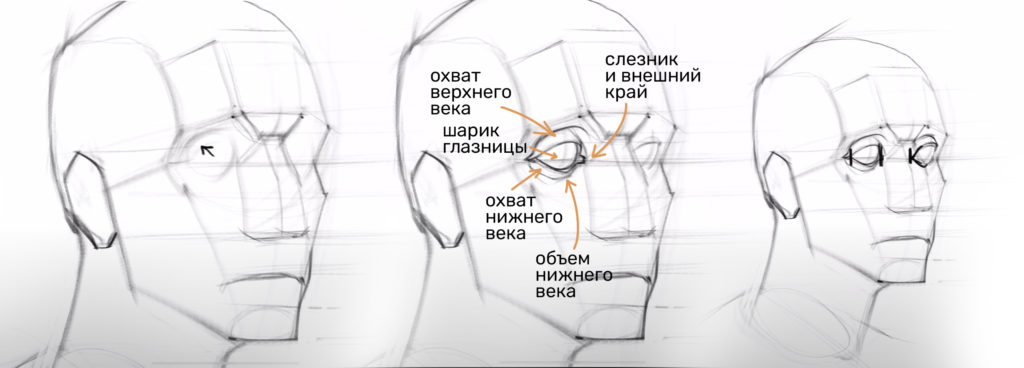 Основы портрета 4