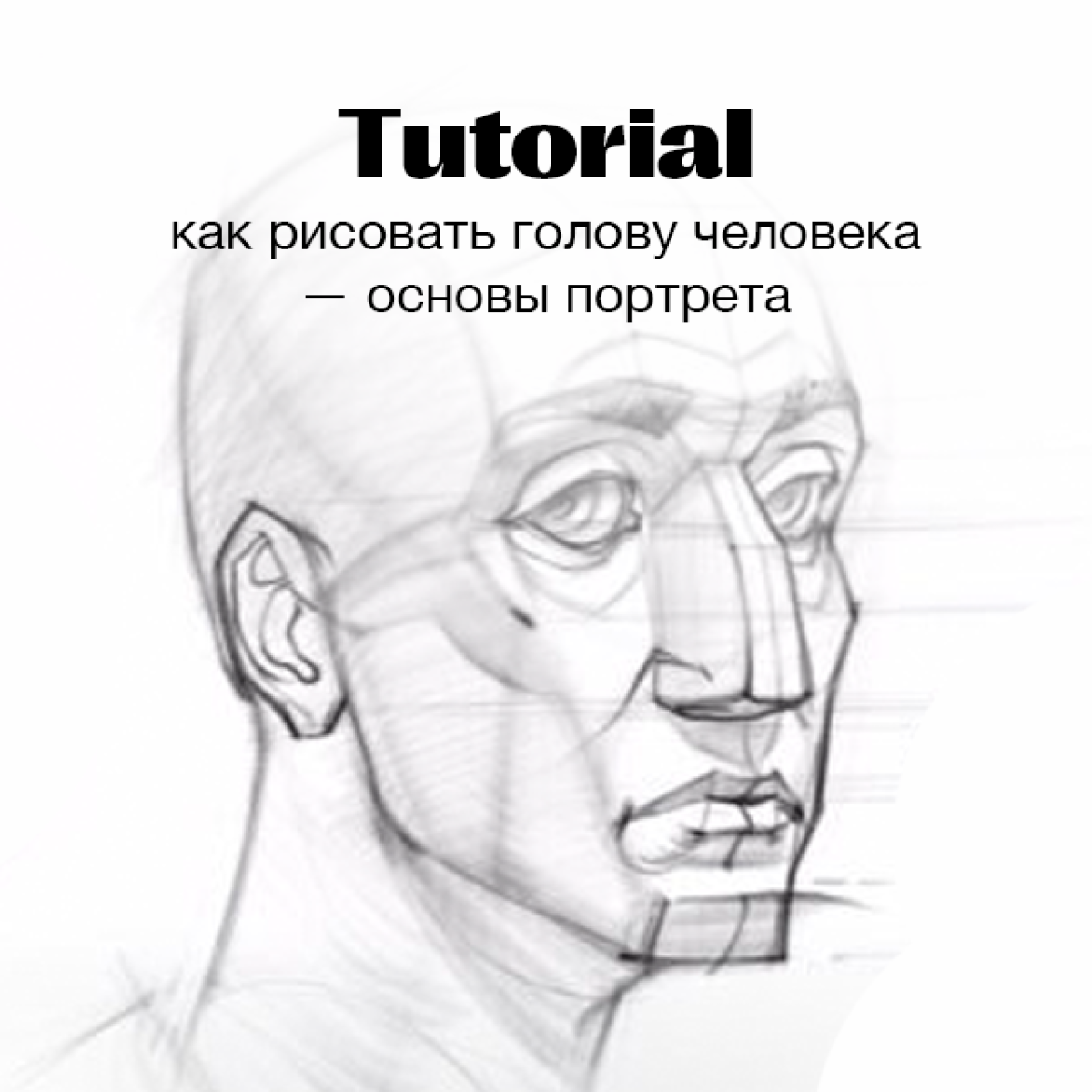 Мастер-класс «Как рисовать голову человека, основы портрета»