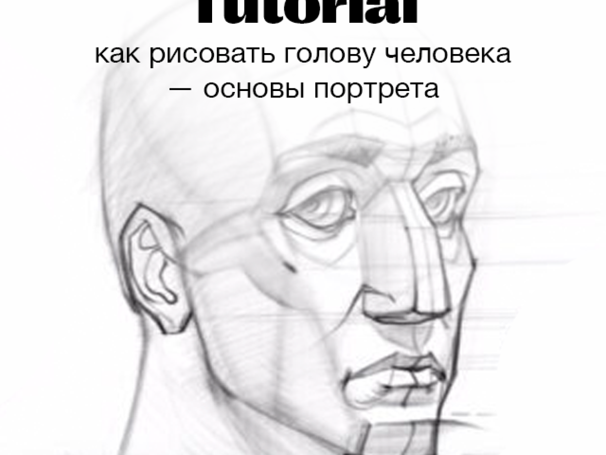 Мастер-класс «Как рисовать голову человека, основы портрета»