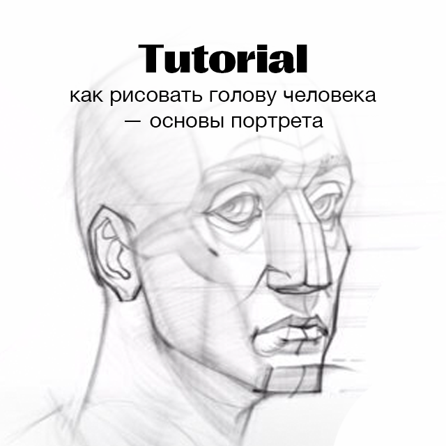 Как рисовать голову человека — основы портрета