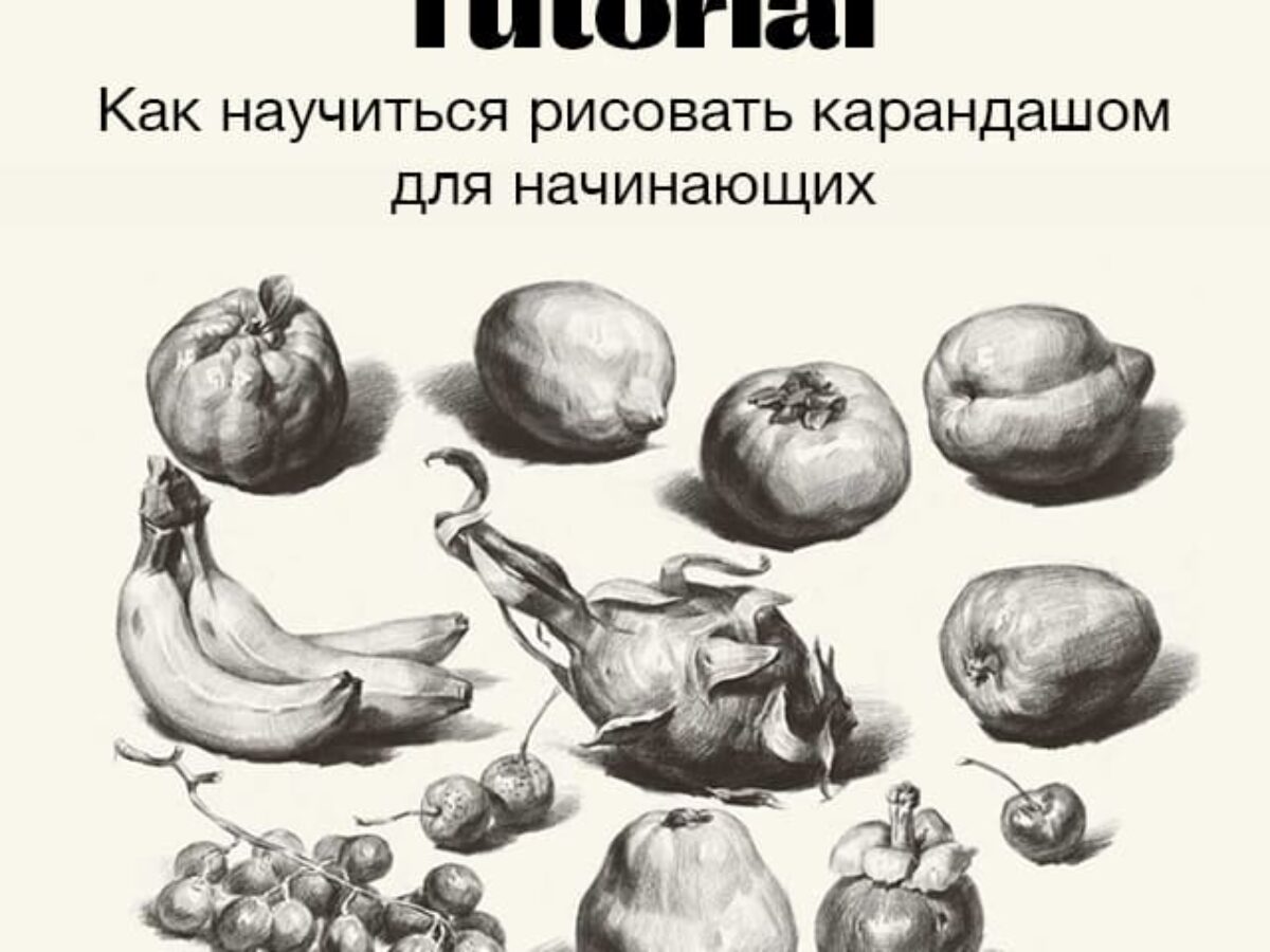 Рисование карандашом для начинающих: Первый шаг к мастерству