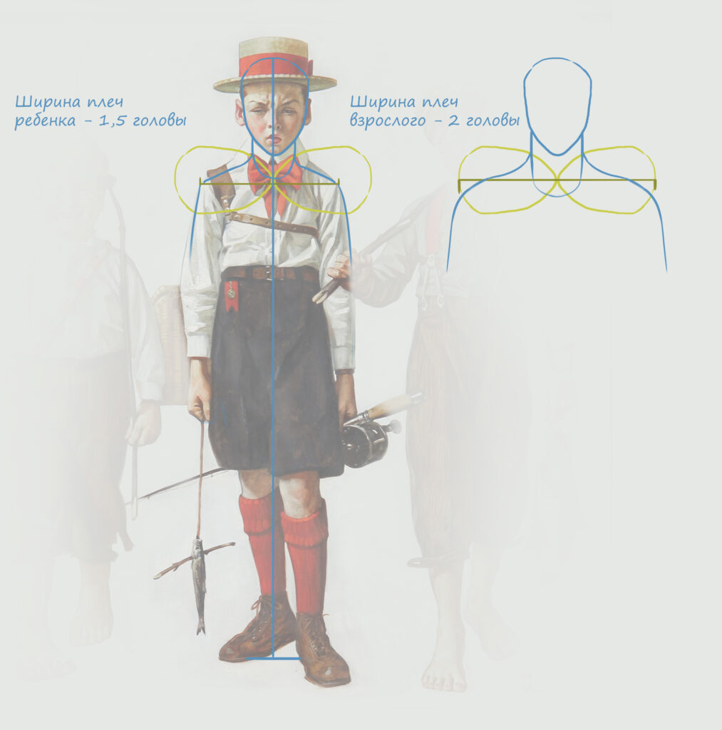 Основные пропорции человека при рисовании: какие бывают, типы и виды