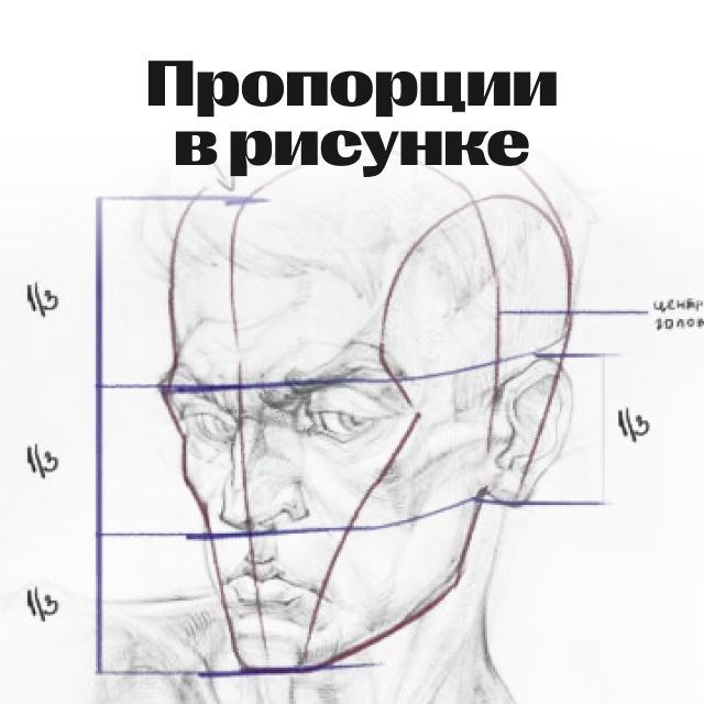 Пропорции в рисунке